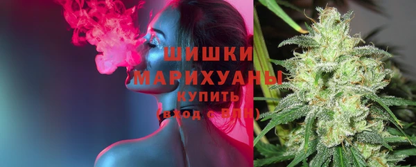 МДПВ Володарск