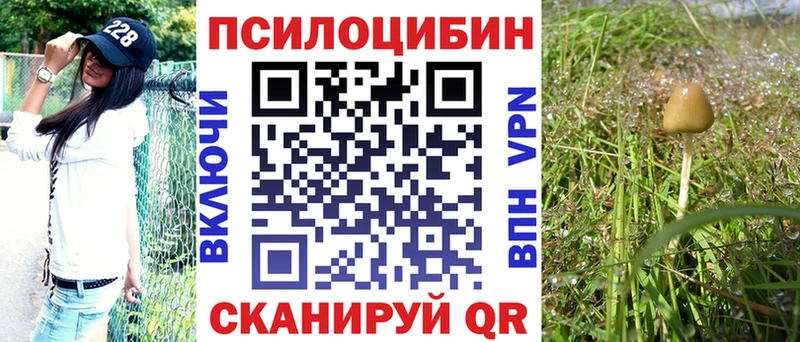 Псилоцибиновые грибы ЛСД  Купить закладки  Мензелинск 